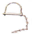 Snapper Pin & Chain